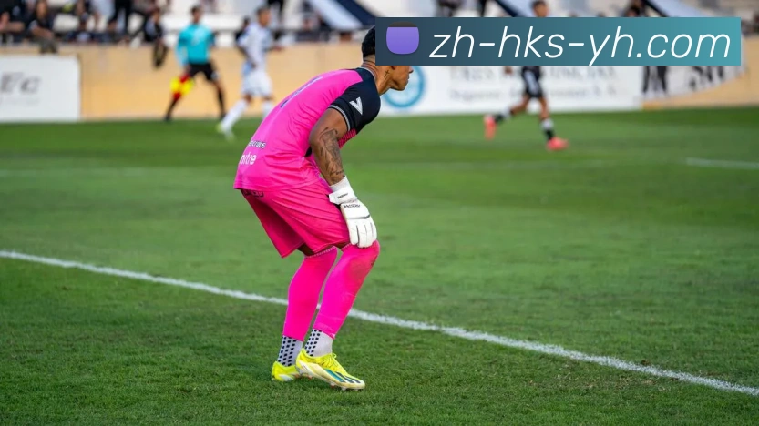 银河官网APP 封面图